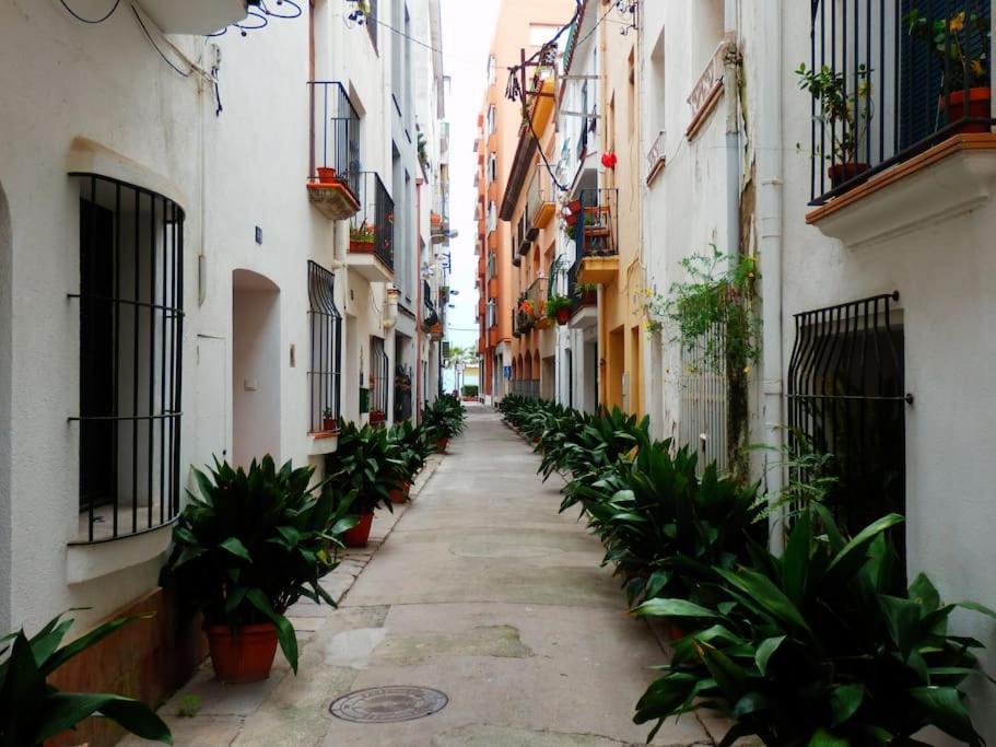 Apartamento Blanes Playa מראה חיצוני תמונה