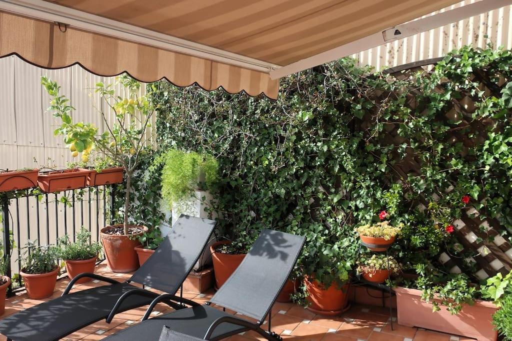 Apartamento Blanes Playa מראה חיצוני תמונה